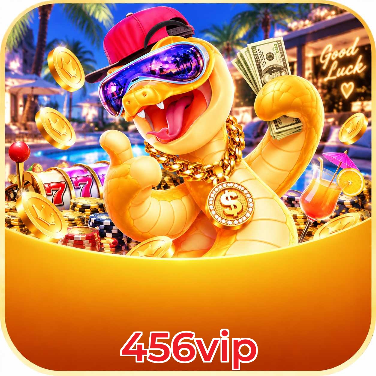 456vip